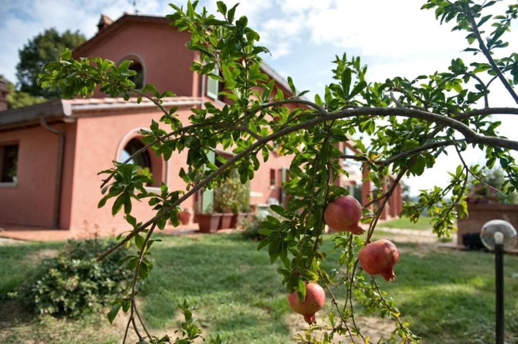 Podere Chiaromonte Palaia Exterior photo